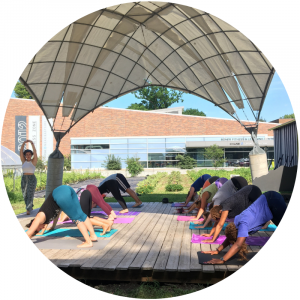 Summer Yoga