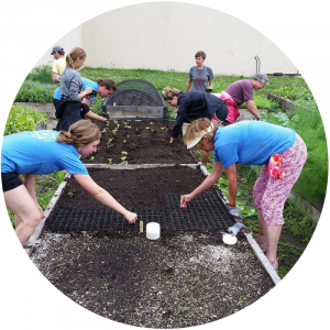 Web Photos - volunteers (7)