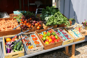 Growing Places Indy | GPI operates with the mission to improve lives in Indianapolis through Urban Agriculture, Fresh Local Produce and Mind-Body Education.
