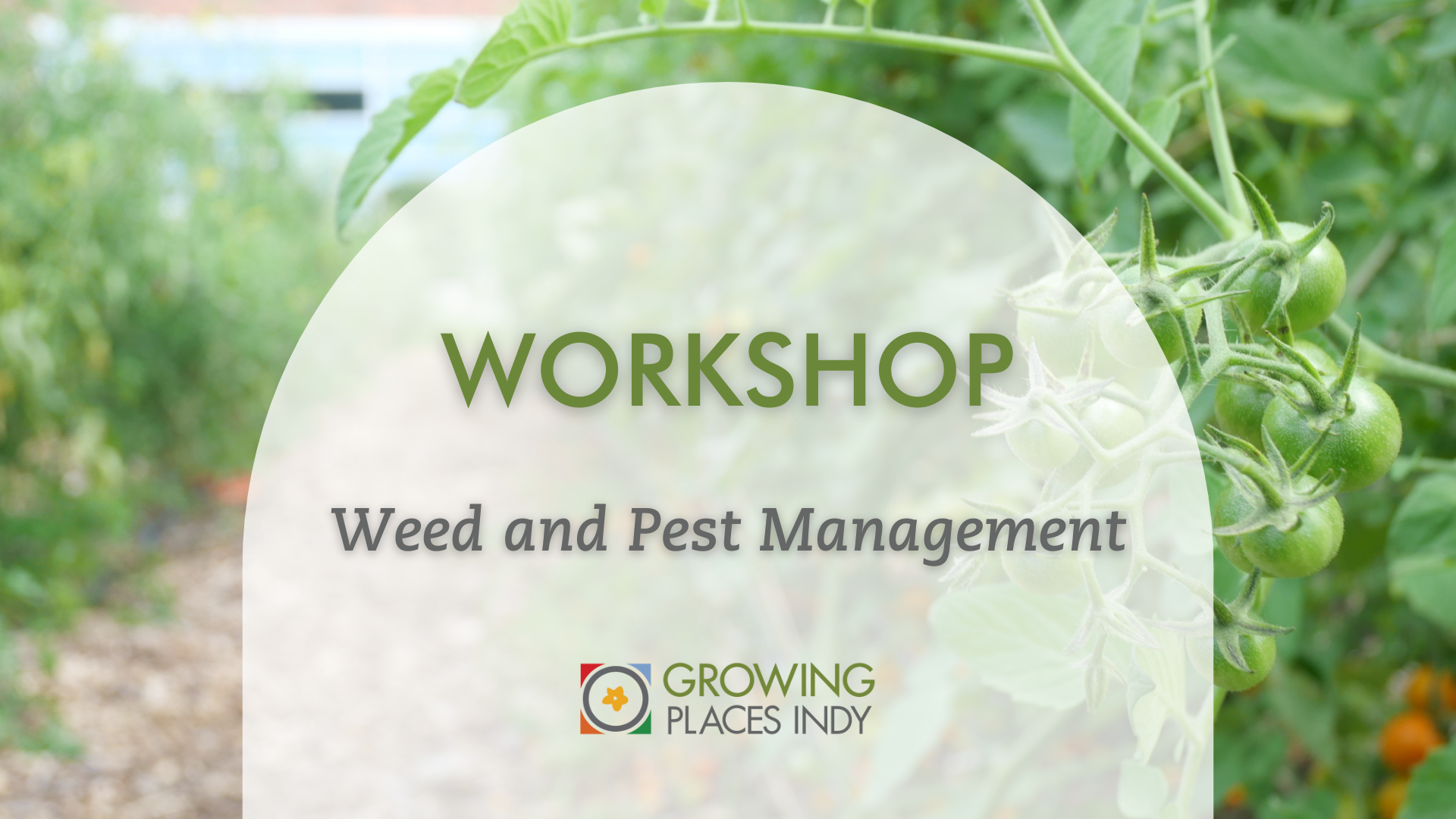 Workshop: Weed and Pest Management