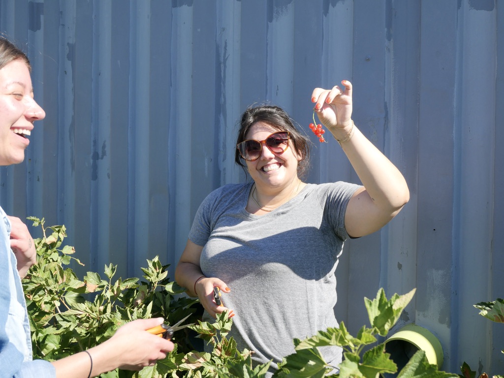 Good Neighbor Volunteers